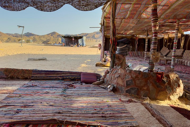 Vivez une aventure désertique passionnante à Charm el-Cheikh avec balade en quad, promenade à dos de chameau et dîner-spectacle bédouin, photo 49 | wizardtrip