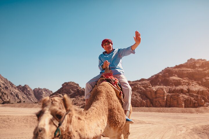 Aventura de quadriciclo e passeio de camelo no deserto de Sharm El Sheikh com vistas para a Montanha do Eco, foto 22 | wizardtrip