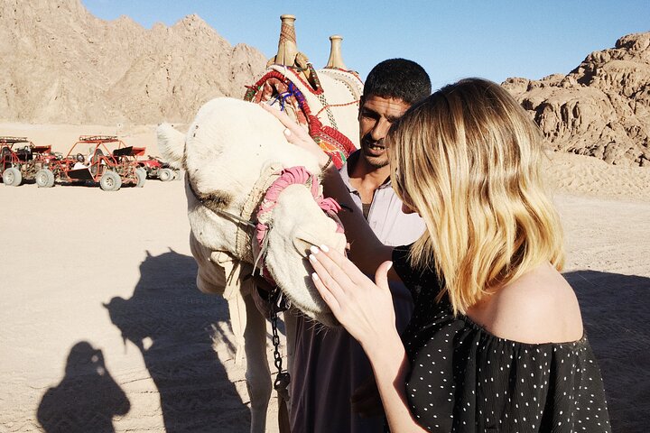 Aventura de quadriciclo e passeio de camelo no deserto de Sharm El Sheikh com vistas para a Montanha do Eco, foto 32 | wizardtrip