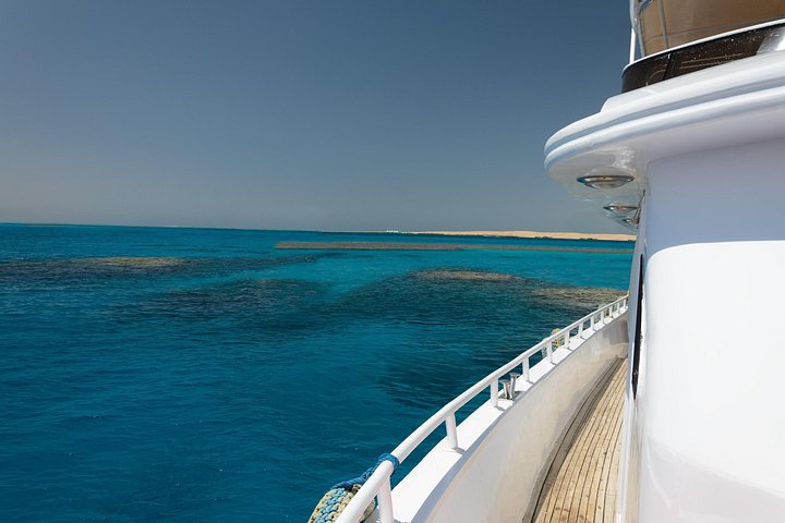 Excursion en yacht de luxe vers le parc national de Ras Mohammed et White Island depuis Charm el-Cheikh, Égypte, photo 22 | wizardtrip