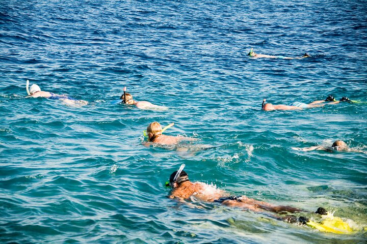 Excursion en yacht de luxe vers le parc national de Ras Mohammed et White Island depuis Charm el-Cheikh, Égypte, photo 32 | wizardtrip