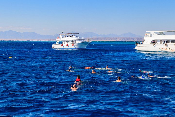 Excursion en yacht de luxe vers le parc national de Ras Mohammed et White Island depuis Charm el-Cheikh, Égypte, photo 35 | wizardtrip