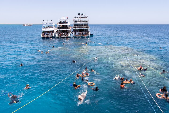 Excursion en yacht de luxe vers le parc national de Ras Mohammed et White Island depuis Charm el-Cheikh, Égypte, photo 37 | wizardtrip