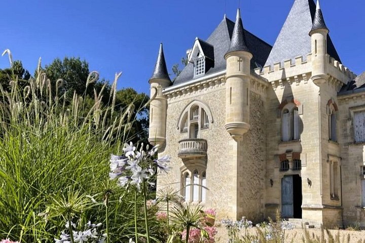 Electric bike tour through Saint-Emilion vineyards with wine tasting and chateau lunch from Bordeaux, photo 11 | wizardtrip