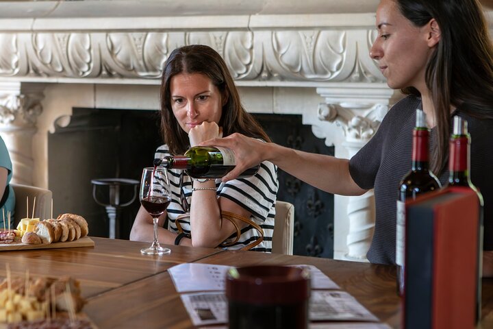 Medoc or Saint Emilion Wine and Tasting Tour from Bordeaux | wizardtrip