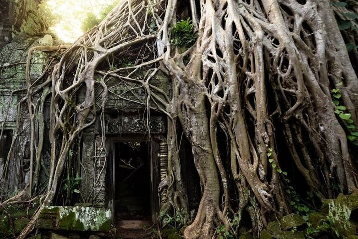Explore ancient temples and witness a stunning sunset on a small group tour in Siem Reap, Cambodia, photo 23 | wizardtrip