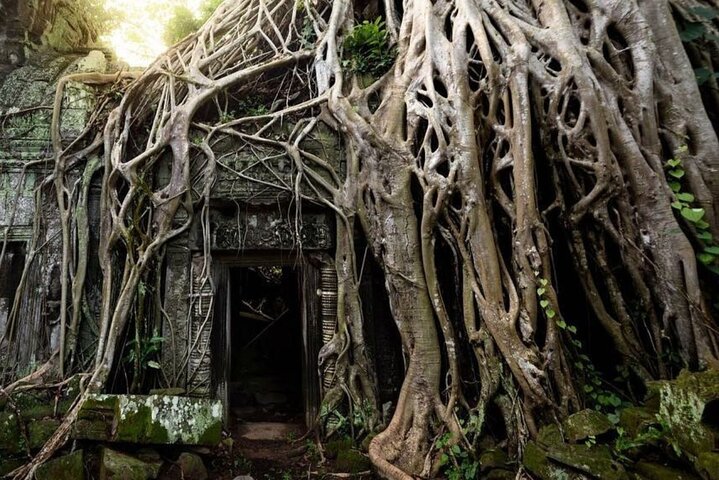 Lever de soleil sur le complexe emblématique du temple d'Angkor Wat à Siem Reap, Cambodge, photo 22 | wizardtrip