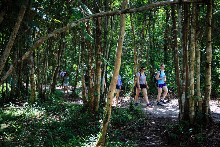 Heldagstur till Phnom Kulen nationalpark, Kambodja, med vattenfall, lingas och Buddhastatyer, foto 37 | wizardtrip