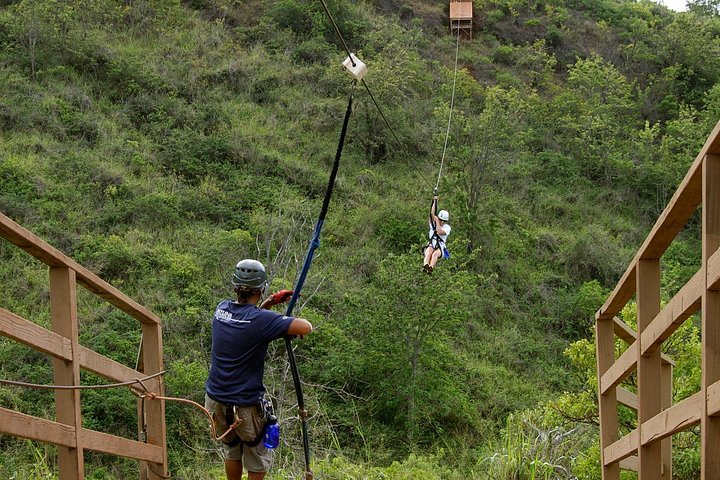 Experimente emocionantes passeios de tirolesa sobre os vales de Maui com deslumbrantes vistas do oceano e da ilha, foto 6 | wizardtrip