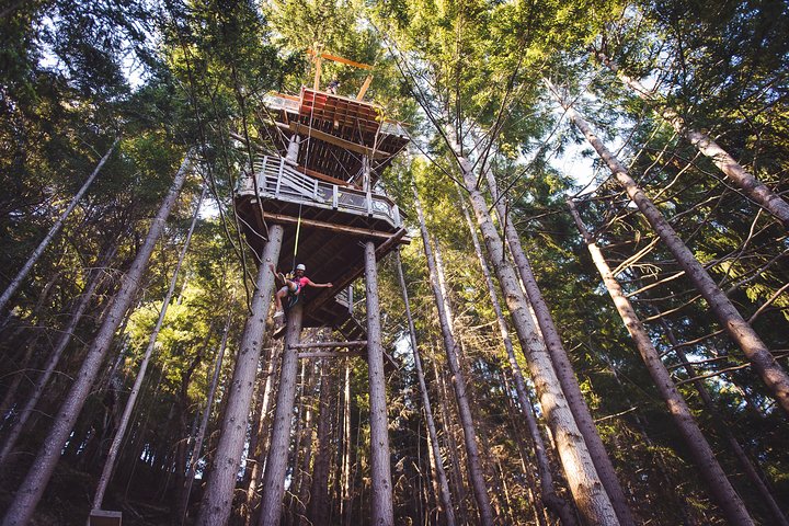 Vivi emozionanti avventure con zipline con viste mozzafiato su Queenstown e sul lago Wakatipu, foto 11 | wizardtrip