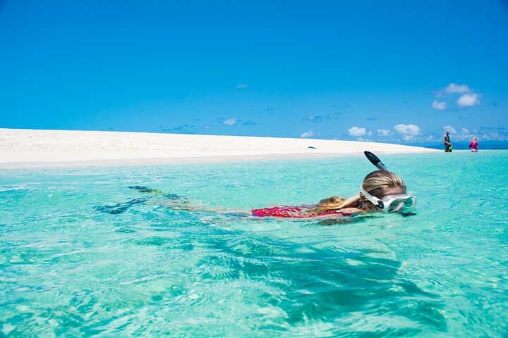 Segel- und Schnorchelabenteuer auf dem Great Barrier Reef ab Port Douglas, Foto 9 | wizardtrip
