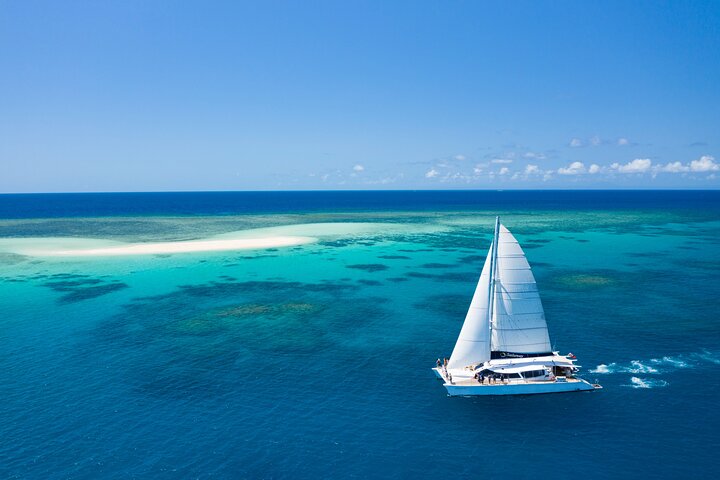 Segel- und Schnorchelabenteuer auf dem Great Barrier Reef ab Port Douglas, Foto 11 | wizardtrip