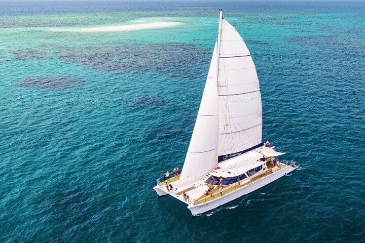 Segel- und Schnorchelabenteuer auf dem Great Barrier Reef ab Port Douglas, Foto 12 | wizardtrip