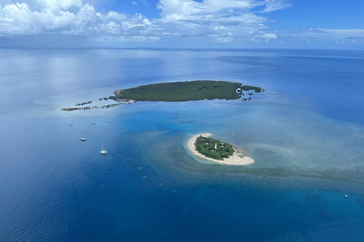 Seglingskatamarantur till Low Isles på Stora barriärrevet, Australien, foto 12 | wizardtrip