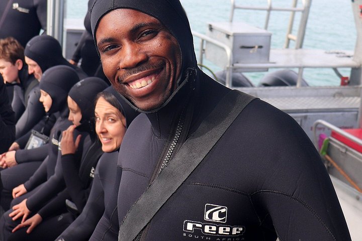 Aventura de buceo en jaula de tiburones en Gansbaai, Sudáfrica, con biólogo marino y visita al santuario de pingüinos, foto 6 | wizardtrip