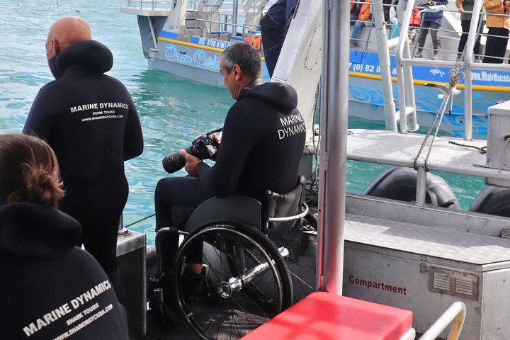 Aventura de buceo en jaula de tiburones en Gansbaai, Sudáfrica, con biólogo marino y visita al santuario de pingüinos, foto 12 | wizardtrip