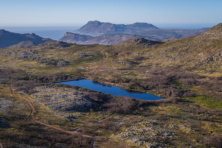 ケープタウンの海岸線とテーブルマウンテンの景観ヘリコプターフライト、その後ボートクルーズ、写真13 | wizardtrip