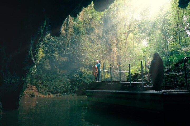 Opplev Hobbits magi og Waitomos lysmark på en dagstur fra Auckland, foto 6 | wizardtrip