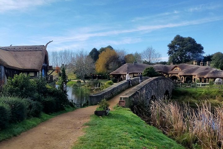 Opplev Hobbits magi og Waitomos lysmark på en dagstur fra Auckland, foto 20 | wizardtrip
