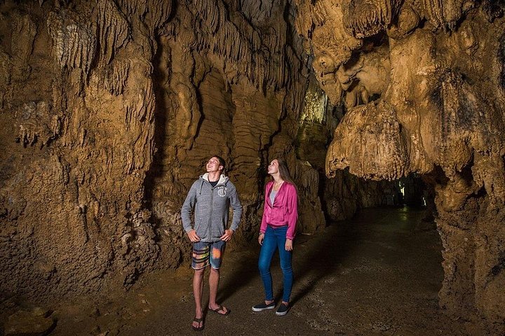 Opplev Hobbits magi og Waitomos lysmark på en dagstur fra Auckland, foto 21 | wizardtrip