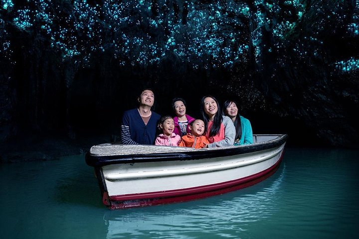 Opplev Hobbits magi og Waitomos lysmark på en dagstur fra Auckland, foto 23 | wizardtrip