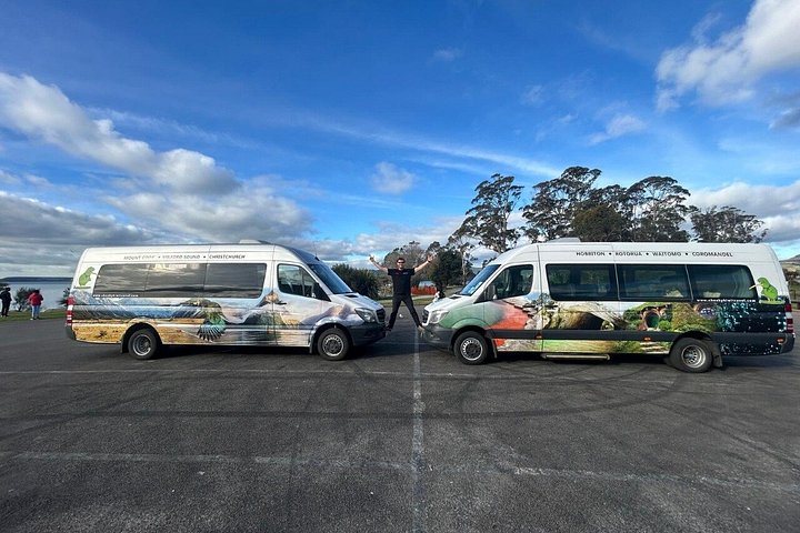 Opplev Hobbits magi og Waitomos lysmark på en dagstur fra Auckland, foto 28 | wizardtrip