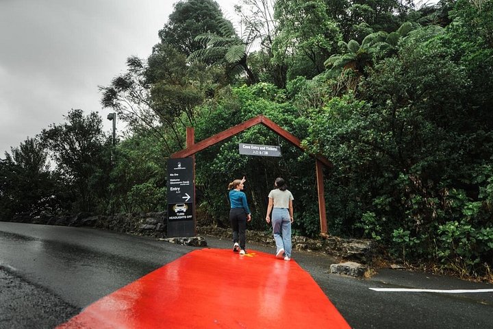 Opplev Hobbits magi og Waitomos lysmark på en dagstur fra Auckland, foto 29 | wizardtrip