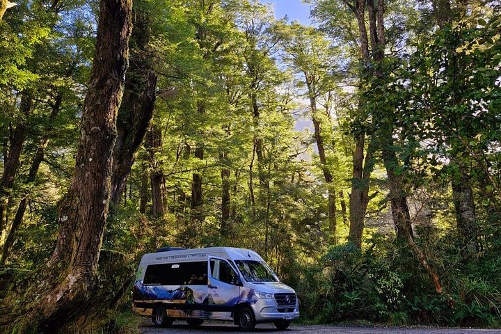 Tour met kleine groep naar Milford Sound vanuit Queenstown, met een schilderachtige cruise en Fiordland National Park, foto 11 | wizardtrip