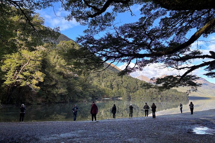 Tour met kleine groep naar Milford Sound vanuit Queenstown, met een schilderachtige cruise en Fiordland National Park, foto 17 | wizardtrip