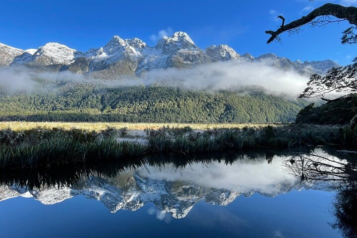 Tour met kleine groep naar Milford Sound vanuit Queenstown, met een schilderachtige cruise en Fiordland National Park, foto 19 | wizardtrip
