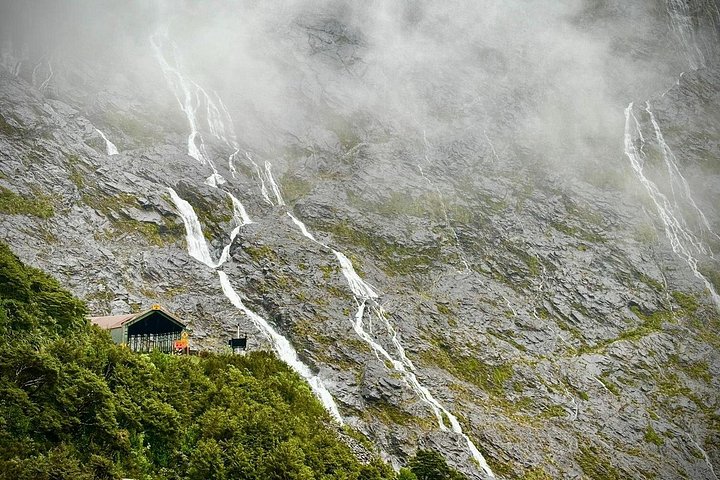 Tour met kleine groep naar Milford Sound vanuit Queenstown, met een schilderachtige cruise en Fiordland National Park, foto 20 | wizardtrip