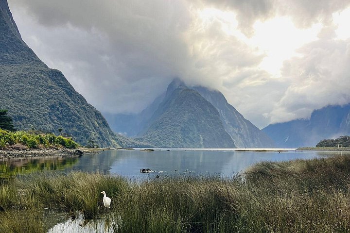Tour met kleine groep naar Milford Sound vanuit Queenstown, met een schilderachtige cruise en Fiordland National Park, foto 22 | wizardtrip