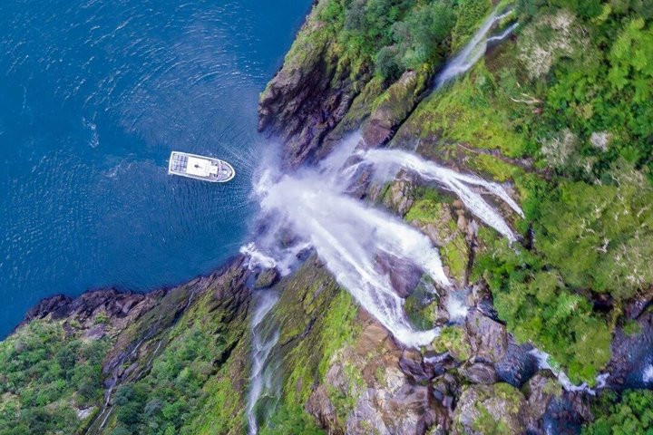 Tour met kleine groep naar Milford Sound vanuit Queenstown, met een schilderachtige cruise en Fiordland National Park, foto 30 | wizardtrip