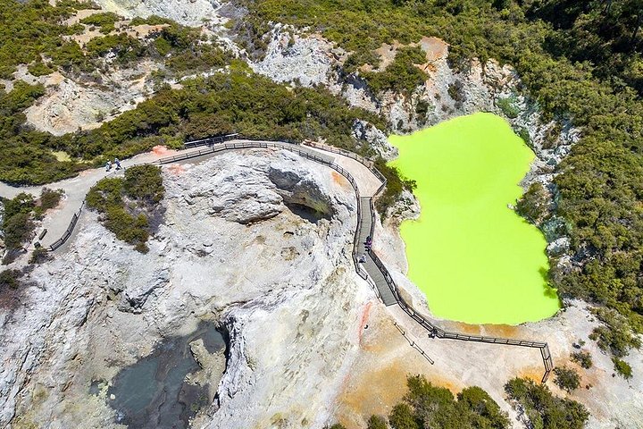 オークランド発、ホビット村映画セットとワイオタプ地熱ワンダーランドへの小グループツアー、写真15 | wizardtrip