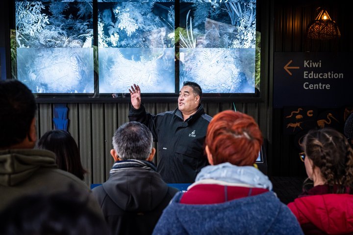 オークランド発ワイトゥンガ洞窟、ロトルア、テ・プイアへの少人数制ツアー。自然の驚異とマオリ文化を紹介、写真13 | wizardtrip
