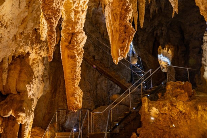 オークランド発ワイトゥンガ洞窟、ロトルア、テ・プイアへの少人数制ツアー。自然の驚異とマオリ文化を紹介、写真17 | wizardtrip