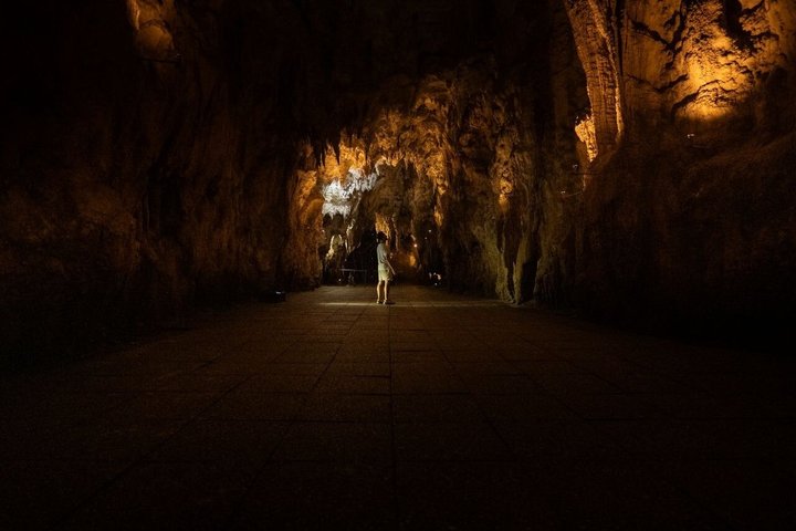 オークランド発ワイトゥンガ洞窟、ロトルア、テ・プイアへの少人数制ツアー。自然の驚異とマオリ文化を紹介、写真22 | wizardtrip
