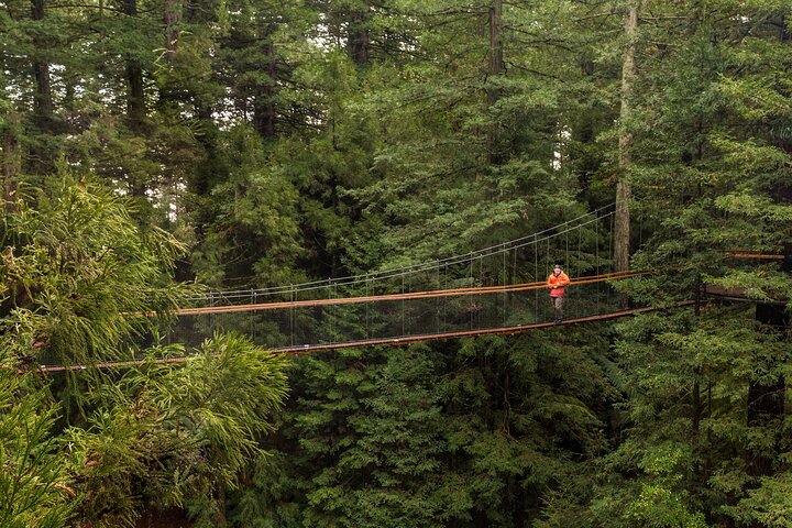 Heldagstur fra Auckland til Rotorua med geotermiske underverker og valgfrie aktiviteter, foto 10 | wizardtrip