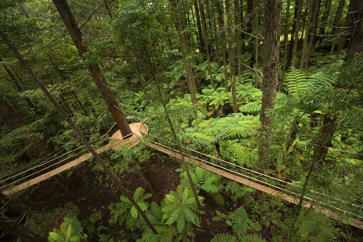 Heldagstur fra Auckland til Rotorua med geotermiske underverker og valgfrie aktiviteter, foto 29 | wizardtrip