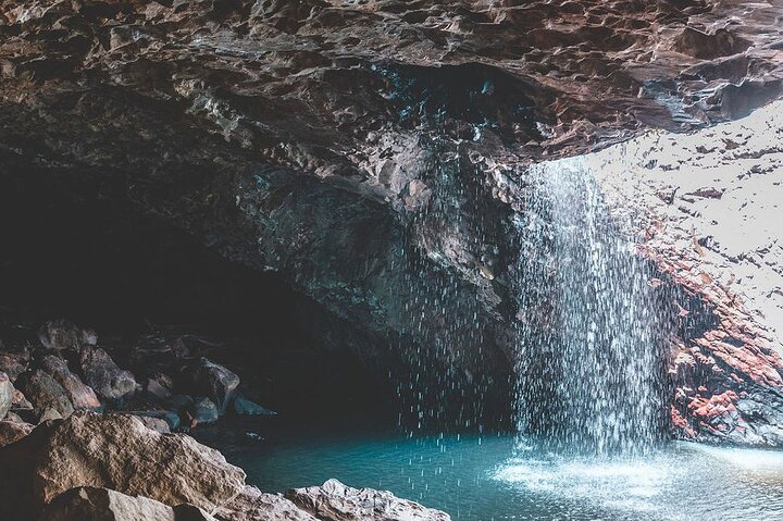 Esplora le lussureggianti foreste pluviali, le cascate e la fauna selvatica dei parchi nazionali di Springbrook e Tamborine in un tour di un giorno da Brisbane, foto 6 | wizardtrip