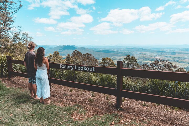 Esplora le lussureggianti foreste pluviali, le cascate e la fauna selvatica dei parchi nazionali di Springbrook e Tamborine in un tour di un giorno da Brisbane, foto 7 | wizardtrip