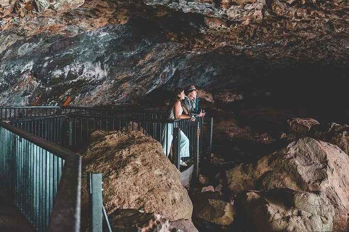 Esplora le lussureggianti foreste pluviali, le cascate e la fauna selvatica dei parchi nazionali di Springbrook e Tamborine in un tour di un giorno da Brisbane, foto 9 | wizardtrip