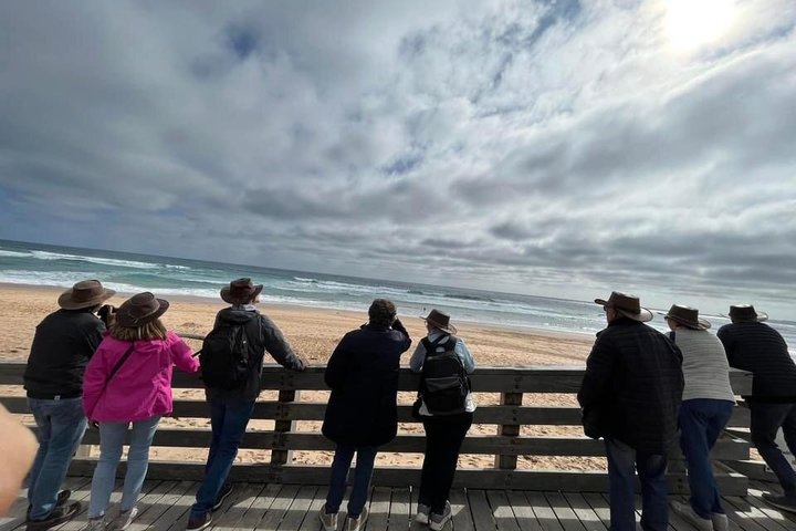 Tur i lille gruppe til Phillip Island fra Melbourne for at se pingviner og dyreliv, foto 9 | wizardtrip