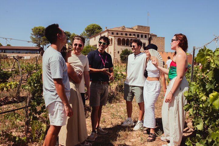 Excursion d'une journée au monastère de Montserrat et à un vignoble médiéval au départ de Barcelone, Espagne, photo 12 | wizardtrip