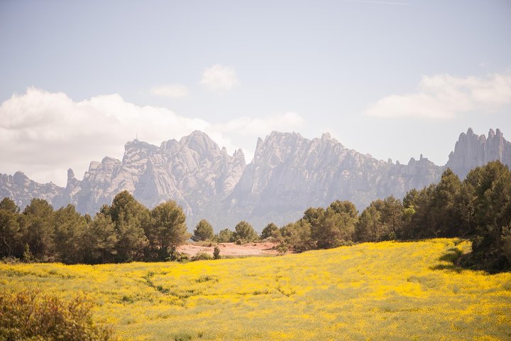 Landschaftliche Ausblicke auf den Montserrat-Berg, das Kloster und eine Weinprobe in einem historischen Burgweingut in der Nähe von Barcelona, Foto 9 | wizardtrip