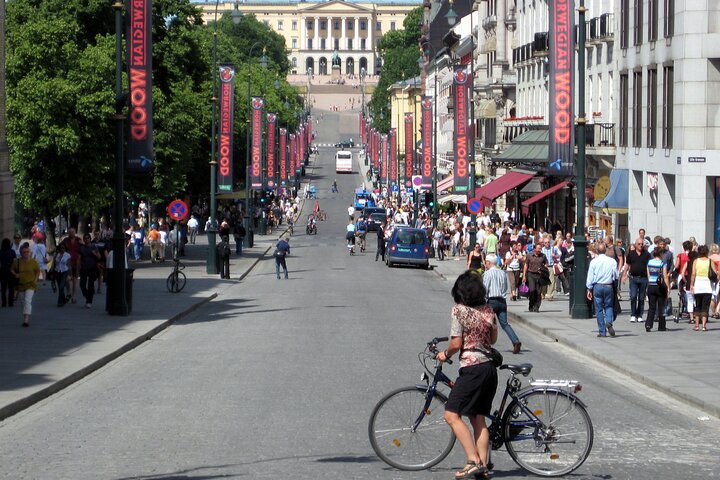 En guidet cykeltur, der viser Oslos berømte vartegn som Det Kongelige Palads og Vigelandsparken, foto 7 | wizardtrip