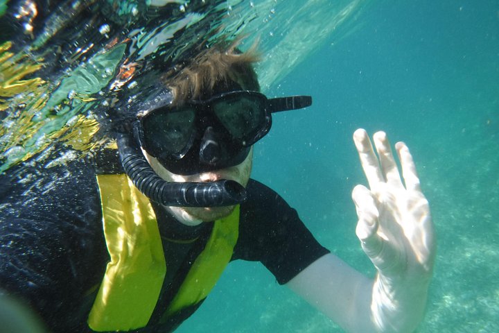 Aventura de snorkeling na Barreira de Corais Mesoamericana perto de Cancún, México, foto 7 | wizardtrip