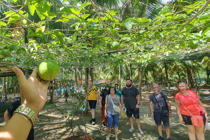Explore the vibrant Mekong Delta with boat tours, local cooking, and cultural visits from Ho Chi Minh City, photo 12 | wizardtrip