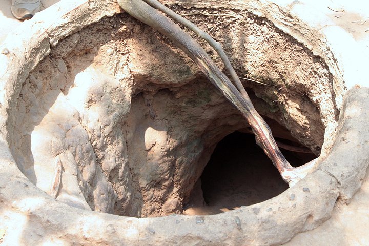 Dagtocht naar Cu Chi Tunnels en Mekong Delta vanuit Ho Chi Minh Stad, Vietnam, foto 9 | wizardtrip