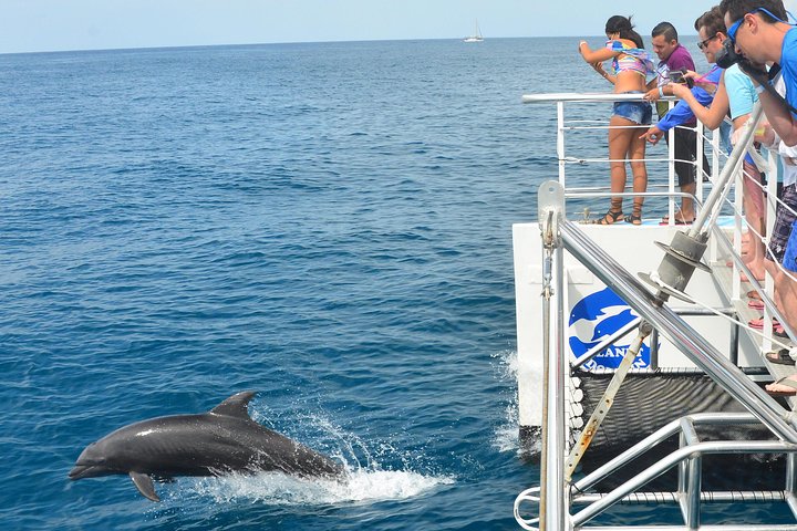 Katamaran-Segelabenteuer entlang der Küste des Manuel Antonio Nationalparks, Costa Rica, Foto 6 | wizardtrip